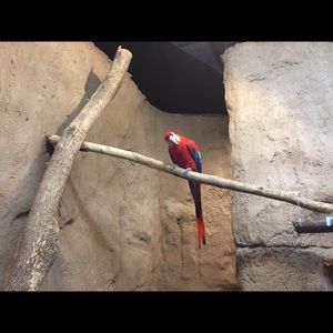 Meet your Posher, Dulce